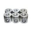Tata LPK 2516 Piston Set